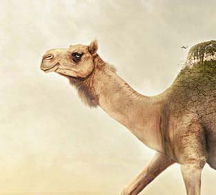 手机号在线压测平台